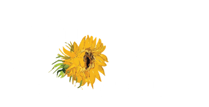 Immersive Van Gogh Exhibit Charlotte logo
